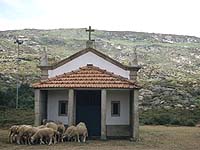 Schafe vor Kirchlein: Die Wanderreise Nordportugal führt in entlegene Gegenden.